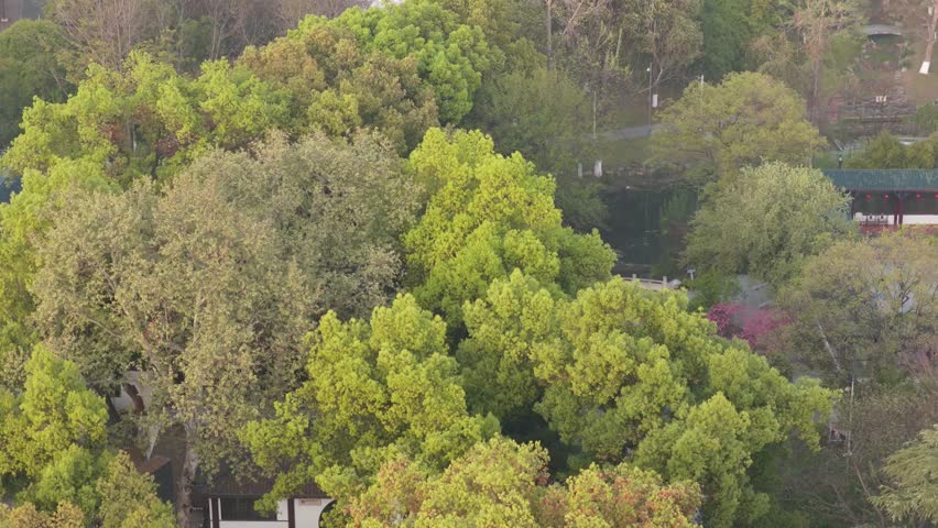 Spring Scenery of Yuehu Park in Wuhan, Hubei, China