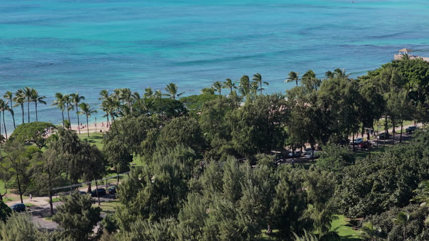 Aerial above city park to reveal Waikiki Beach with palm trees and tall buildings in the background, Honolulu