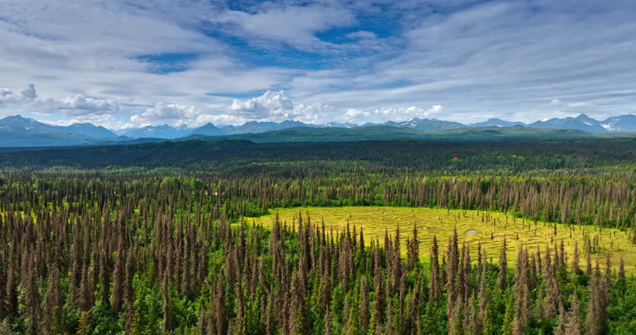 Footage over the endless woods and marshes approaching the beautiful mountains at backdrop. Amazing fluffy clouds in the sky over the landscape. Alaska, USA.