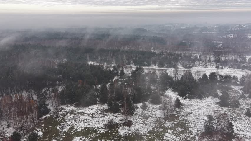Rural winter landscape with agricultural fields and trees