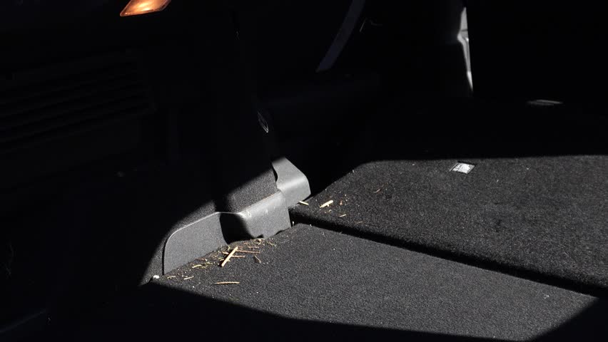 Car dry cleaning. Vacuuming the trunk of debris, removing small particles, and taking a close-up photo. Interior cleaning.