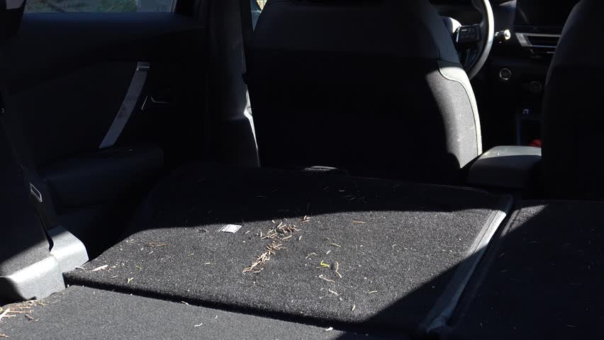 Car dry cleaning. Vacuuming the trunk of debris, removing small particles, and taking a close-up photo. Interior cleaning.