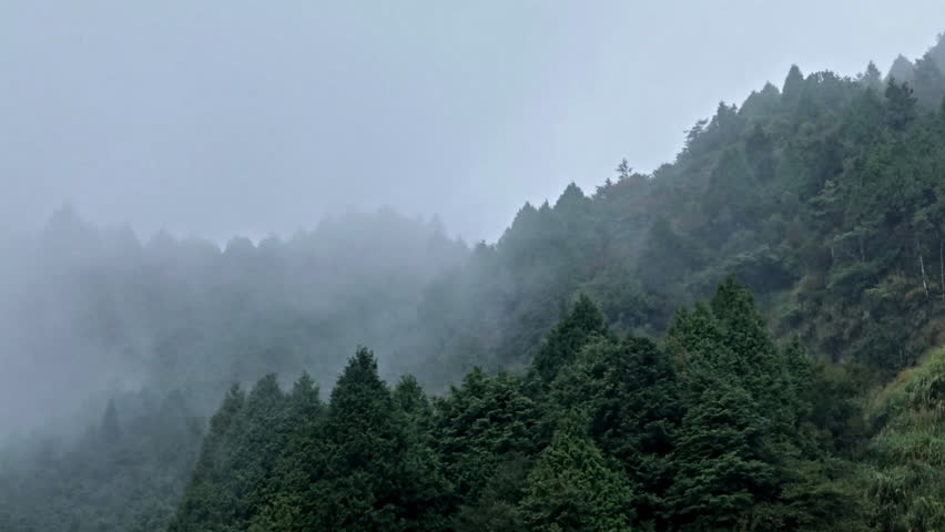 Majestic Misty Mountain Forest Shrouded in Dense Clouds