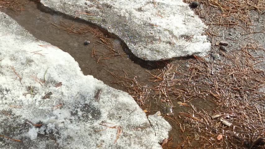 The stream runs in the forest, park on a sunny warm spring day. Melting snow