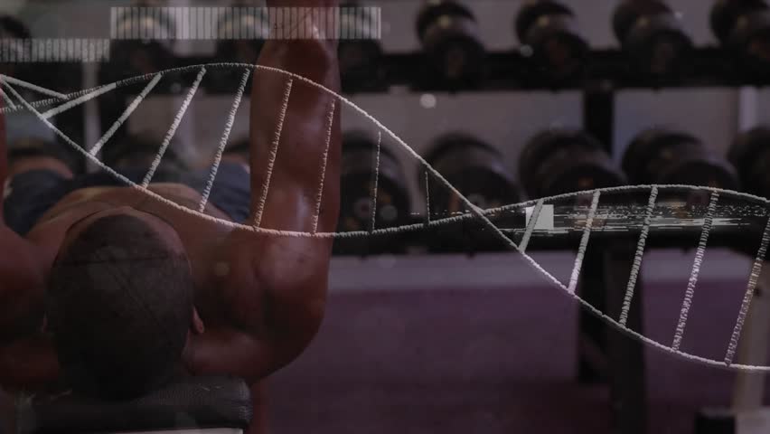 From bench start, athlete performing dumbbell press-fly cycle while helix bars showing fitness data. Weights, gym, rack, man, strength, training, focus