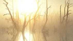 The sun shining through drowned trees in a lake during a foggy, spring morning. - Powered by Shutterstock - Get 15% off with code: PIKWIZARD15