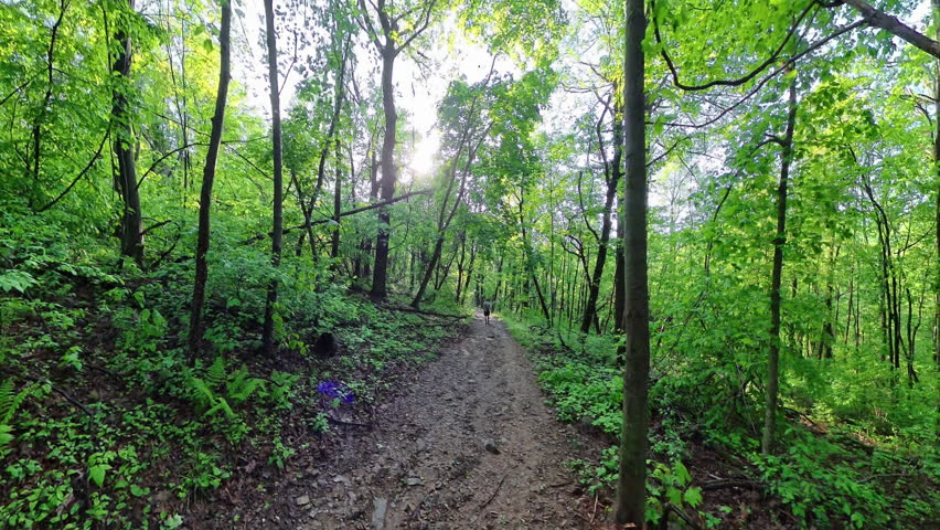 Man Hikes Down South River Falls Trail in Shenandoah National Park