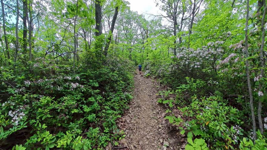 More Hiking Along Rushing River in Shenandoah National Park