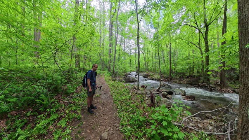 More Hiking Along Rushing River in Shenandoah National Park