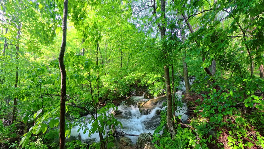 South River Falls in Shenandoah National Park