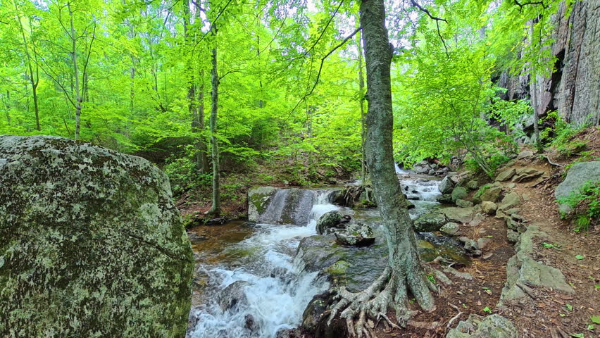 Water Rushes Behind Rocks in Shenandoah National Park