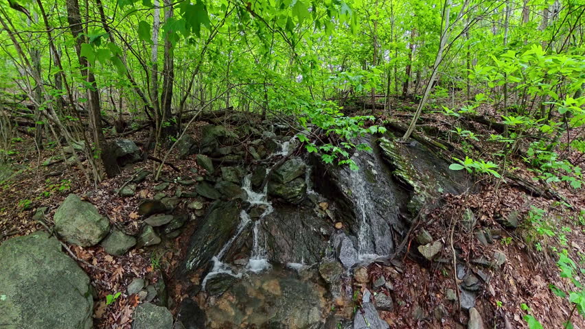 Waterfall Along Side of Madison Run Road in Shenandoah National Park