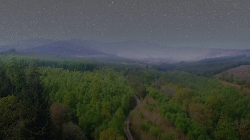 Sensor activation initiating drone scanning and projecting HUDs over forest valley for mapping. Aerial, woodland, canopy, night, stars, haze, translucent
