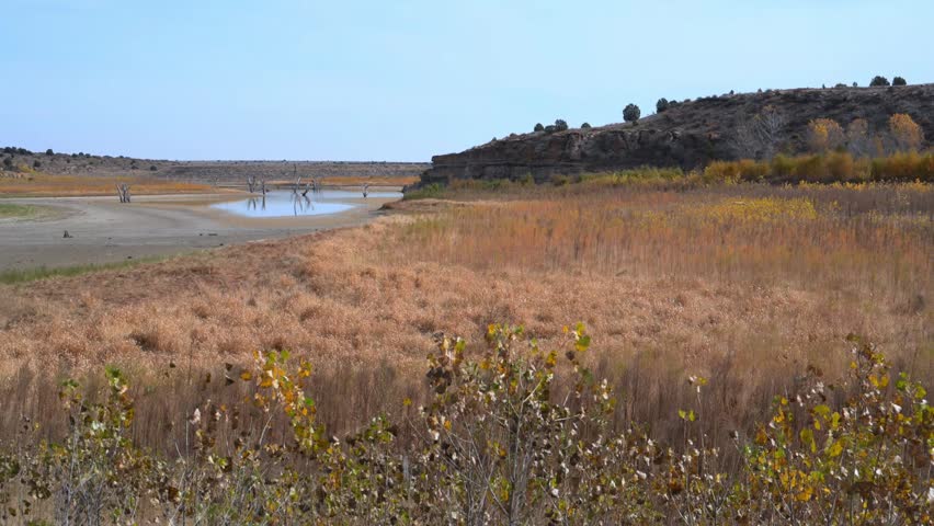 Dry yellow vegetation on the shore of a desiccating Lake Carl Etling, located within Black Mesa State Park in Oklahoma,  USA 
