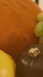 Animation of purple hearts over kwanzaa candles and pumpkins. Kwanzaa festivity, celebration and tradition concept digitally generated video. - Powered by Shutterstock - Get 15% off with code: PIKWIZARD15