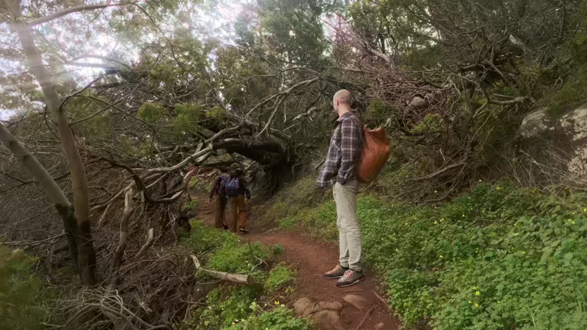 Three hikers, Two happy young children, boys 10-12 years old hiking on challenging, Family adventure, group trekking through dense, forest, Backpacking through wilderness, exploring nature