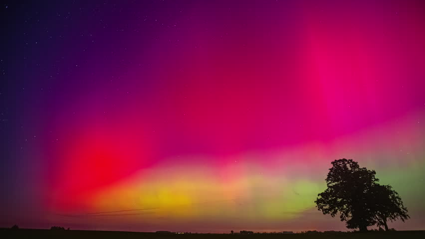 Colorful aurora borealis glowing above silhouetted tree under star filled night sky