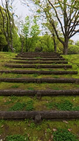 POV walking slowly up ancient wooden stairs covered in green moss, forest trail