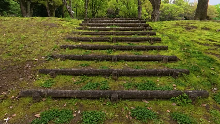 POV walking slowly up ancient wooden stairs covered in green moss, forest trail