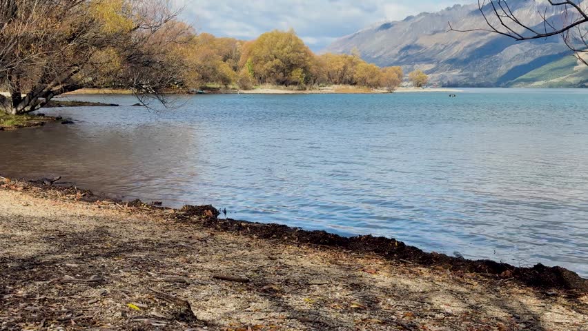 Autumn trees lakeside, mountains, calm lake, sunny day, peaceful nature.