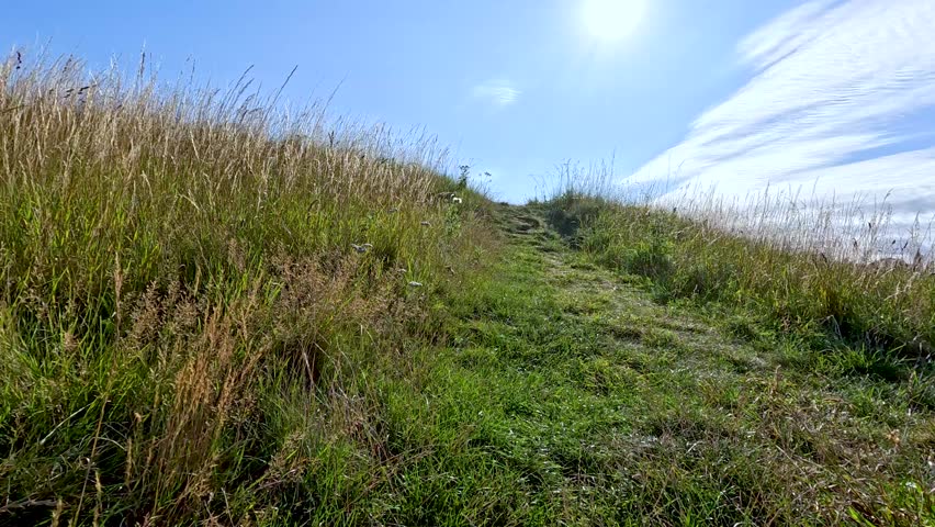 Walking up a green hill on a sunny day in nature.