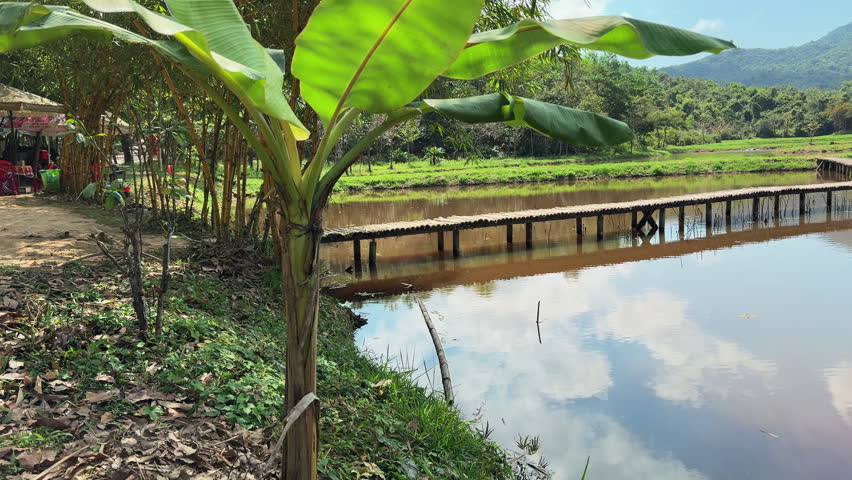 Peaceful tropical landscape featuring a curved wooden bridge reflecting on a calm brown lake, lush green mountains, and blue sky near My Son Sanctuary, Hoi An, Vietnam.
