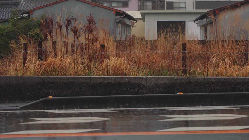 A heavy rainstorm over a small rural farming village in Japan with rice fields, traditional houses, and a misty countryside atmosphere.