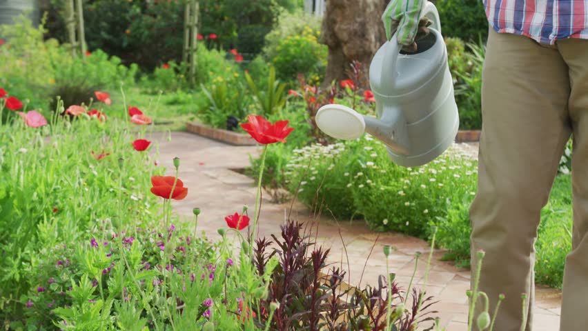 Gardener tilting can and pouring water on garden path, generating floating badges tracking moisture. Elder, man, gloves, flowers, poppies, yard, labels