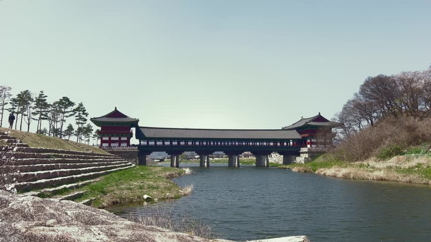 Woljeonggyo Bridge in Gyeongju, South Korea, beautifully framed by blooming cherry blossoms in spring. The elegant wooden bridge reflects traditional Korean architecture, while soft pink petals and clear skies create a serene and picturesque atmosphere in this historic setting.