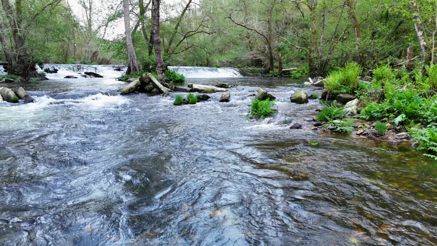 River flowing through a lush green forest landscape with a waterfall in the springtime