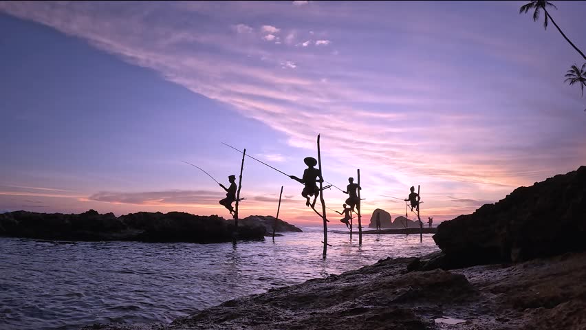 Sri Lankan stilt fishermen sitting on pole fishing at sunset in silhouette during dusk southern coast in Sri Lanka