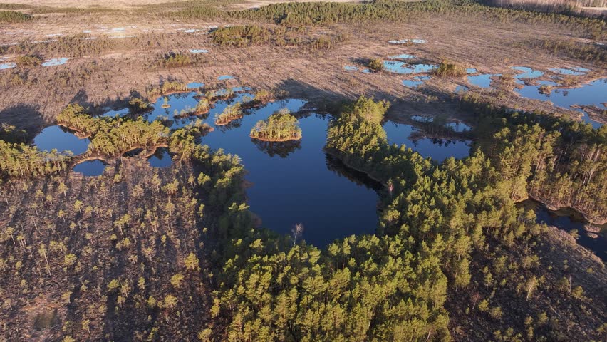 Aerial view of a marsh landscape at sunrise, showcasing a series of small islands covered with thin pine trees, surrounded by deep blue water