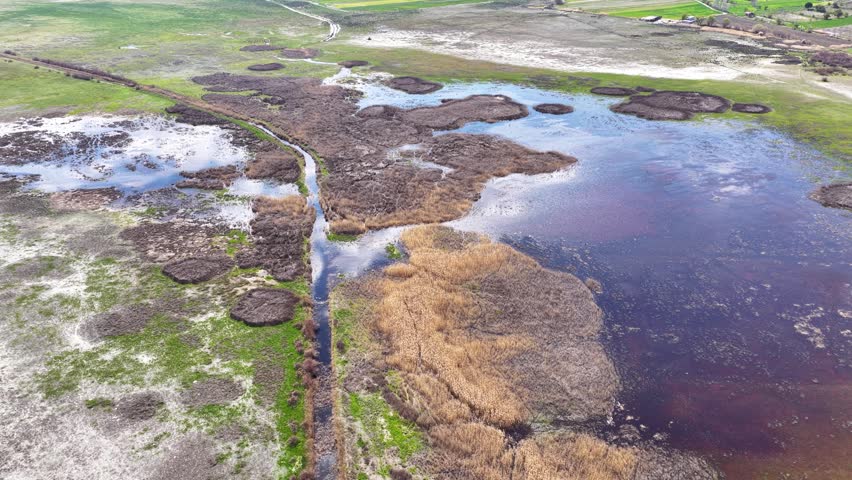 Drone shot over the wetland, featuring the diverse colors of vegetation and water under sunlight.	