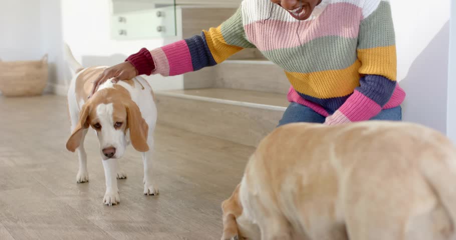Woman kneeling in home, petting and rewarding dogs with treat, causing social media hearts floating. Owner, canines, snack, stroking, kitchen, modern, overlays