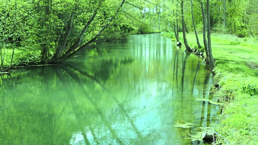 Verdant green stream with grass and trees in spring.