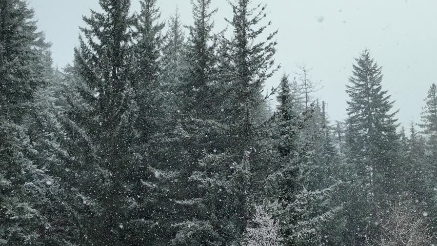 Beautiful snowfall scenery from the Fairmont Chateau Whistler hotel and spa in British Columbia, Canada.