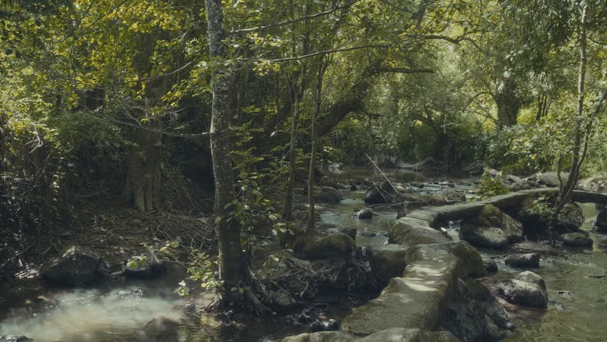 Rural dirt road winding through countryside fields in natural light