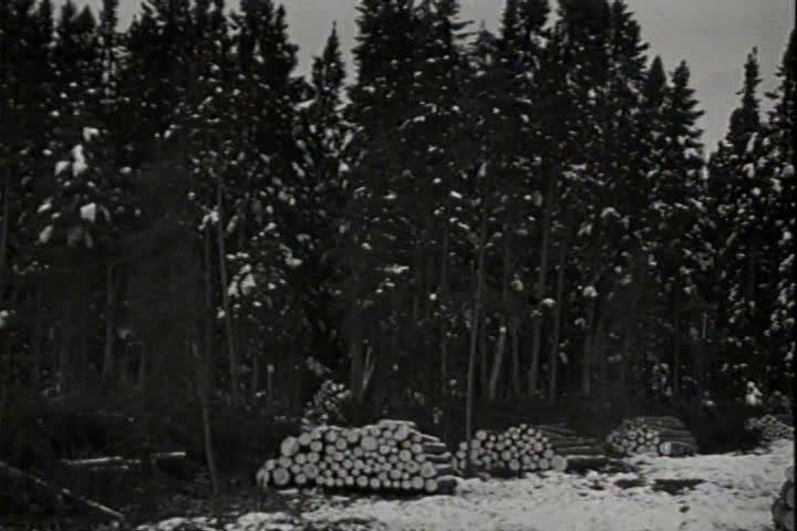 1930s - Lumbering and logging in 1935.
