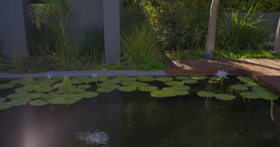 Couple on balcony by pond tilting upward shot suited man pointing outward white dress woman leaning. Romance, lilies, garden, terrace, sunlit, lensflare, contemporary