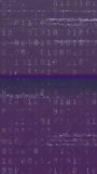 Glitching vertical frames displaying scattering of 0 and 1 over purple background, with scanlines. Glitch, digital, binary, noise, static, magenta, vertical video - Powered by Shutterstock - Get 15% off with code: PIKWIZARD15