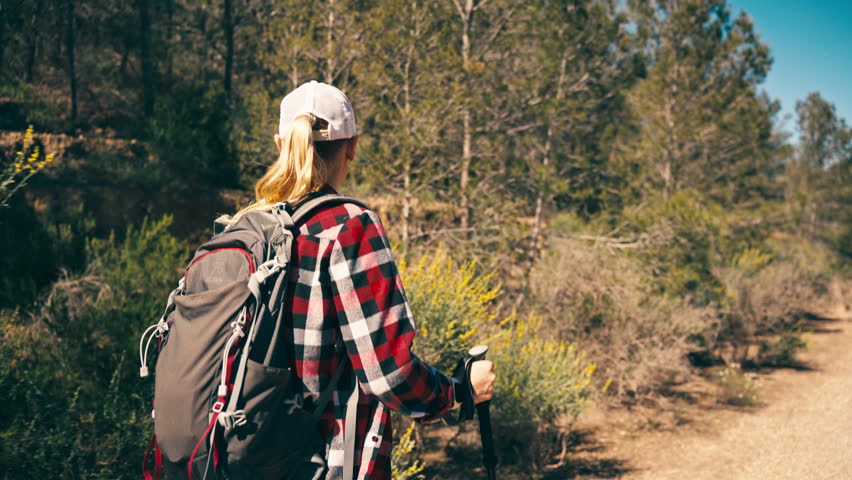 Cinematic view of a young woman hiking with a backpack and trekking poles along a sunlit path in a pine forest. Concept of adventure, freedom and atmospheric nature storytelling.
