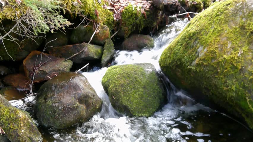A stream of water splashing through the rocks in the woods