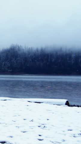 Vertical video: Snowy shoreline receiving climate feed, HUD panels rising, stacking, showing charts. Lakeside, winter, mist, cold, tranquil, data, vertical video