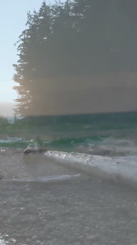 Man fading in from left, woman fading beside him, blending with shoreline, embracing for marketing. Beach, driftwood, pebble, evergreen, sunrise, horizon, vertical video