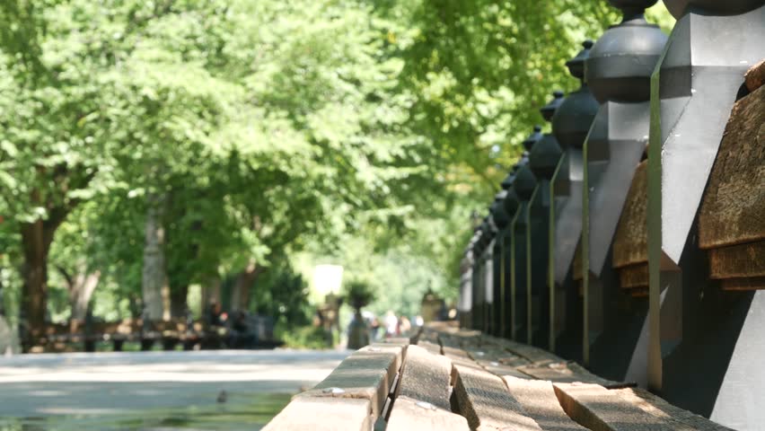 Raw of wooden benches in Central Park of New York City, United States. People on summer day in Manhattan, USA. Defocused perspective, green trees in american park.