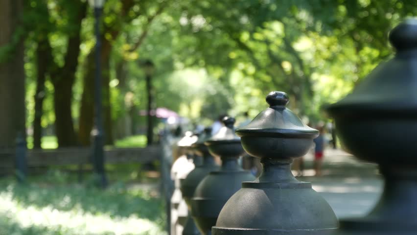 Raw of wooden benches in Central Park of New York City, United States. People on summer day in NYC, Manhattan, USA. Defocused perspective, old green trees in american park. Leaves in sunshine.