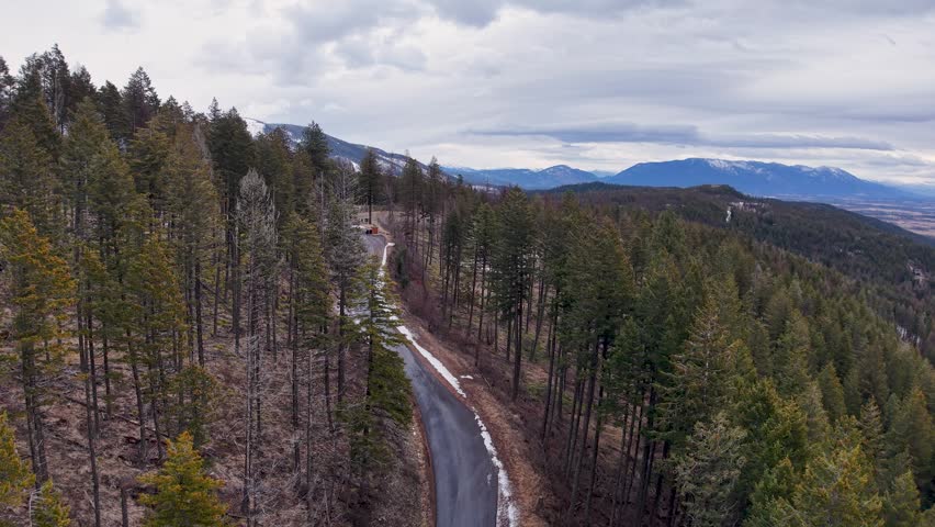 Aerial drone shot following a narrow winding mountain road cutting through evergreen and deciduous trees, with snow patches and distant mountains under a cloudy sky near Whitefish, Montana.