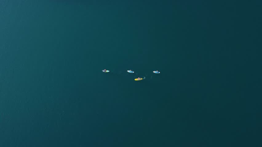 AERIAL Top-Down Shot of Four Paddlers in a Lake