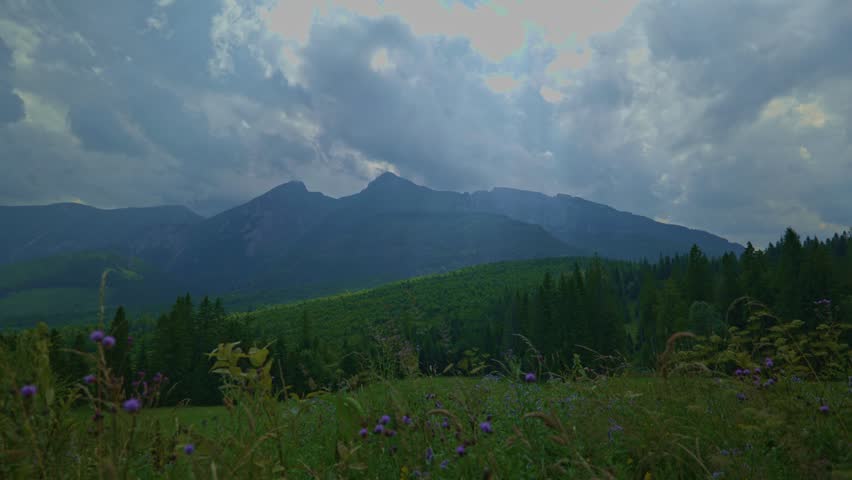 Dark storm clouds gathering above a mountain range covered with dense green forest. Dramatic weather conditions over natural wilderness with tall trees and rolling hills in the foreground. Moody mountain landscape showing approaching rain or thunderstorm in a remote outdoor environment.