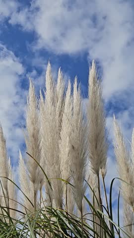 Quiet Lakeside Landscape with Mountain Reflections and Lush Greenery under a Cloudy Sky